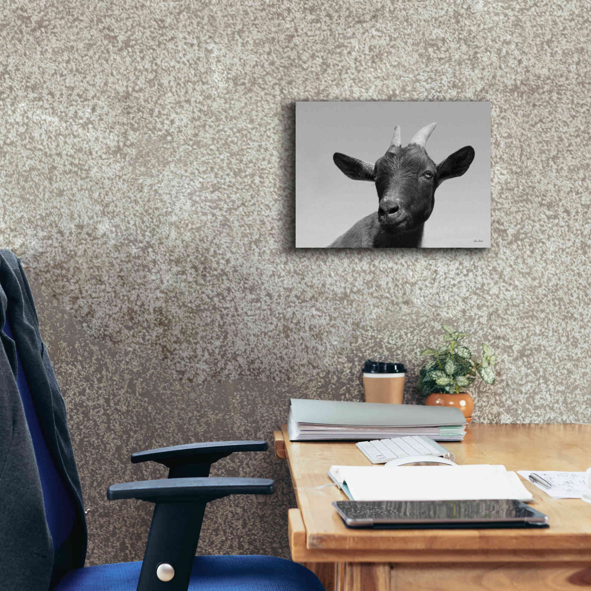 'Lake Tobias Goat I' by Lori Deiter, Canvas Wall Art,16 x 12