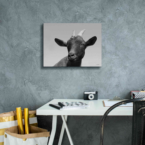 Image of 'Lake Tobias Goat I' by Lori Deiter, Canvas Wall Art,16 x 12