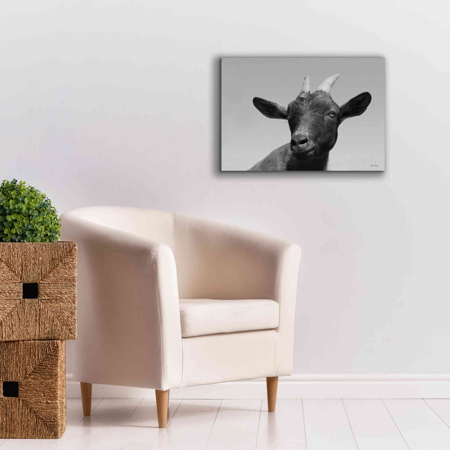 'Lake Tobias Goat I' by Lori Deiter, Canvas Wall Art,26 x 18