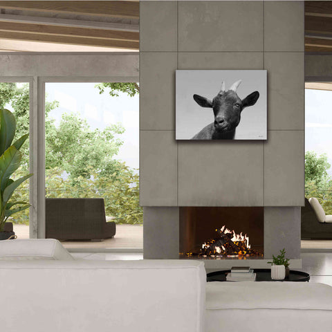 Image of 'Lake Tobias Goat I' by Lori Deiter, Canvas Wall Art,34 x 26