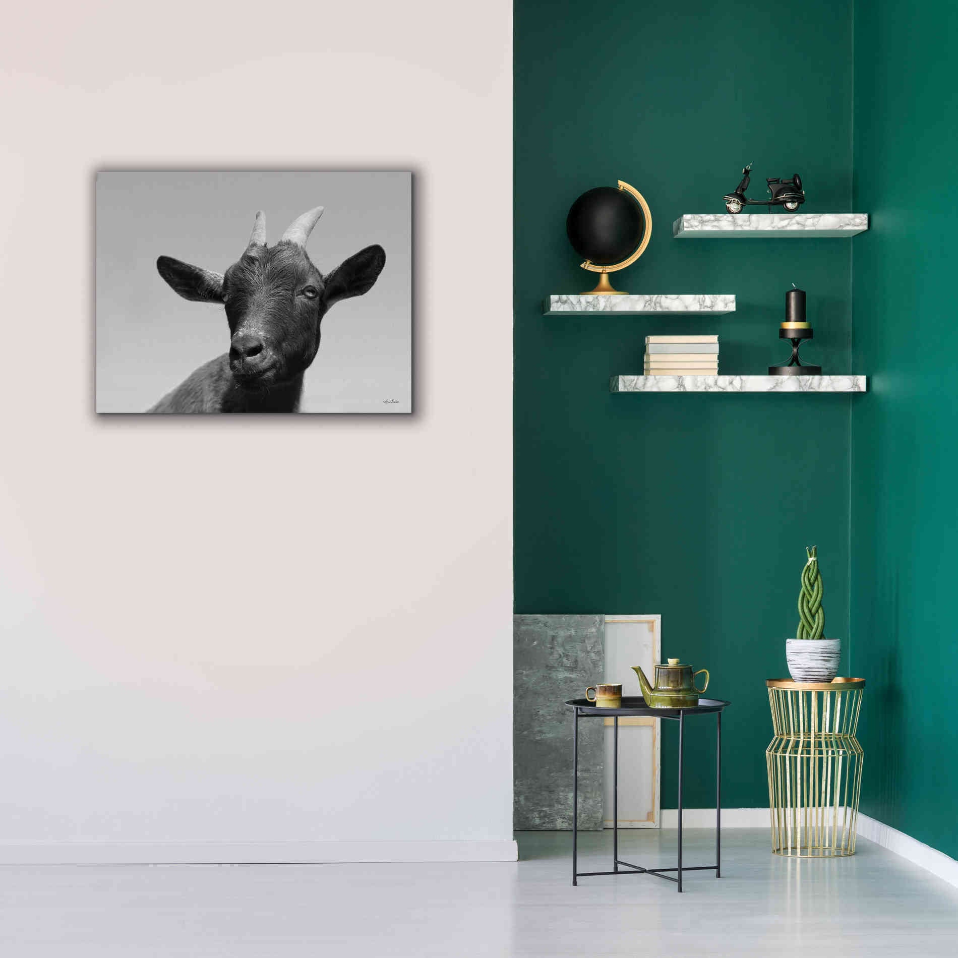 'Lake Tobias Goat I' by Lori Deiter, Canvas Wall Art,34 x 26