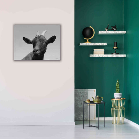 Image of 'Lake Tobias Goat I' by Lori Deiter, Canvas Wall Art,34 x 26