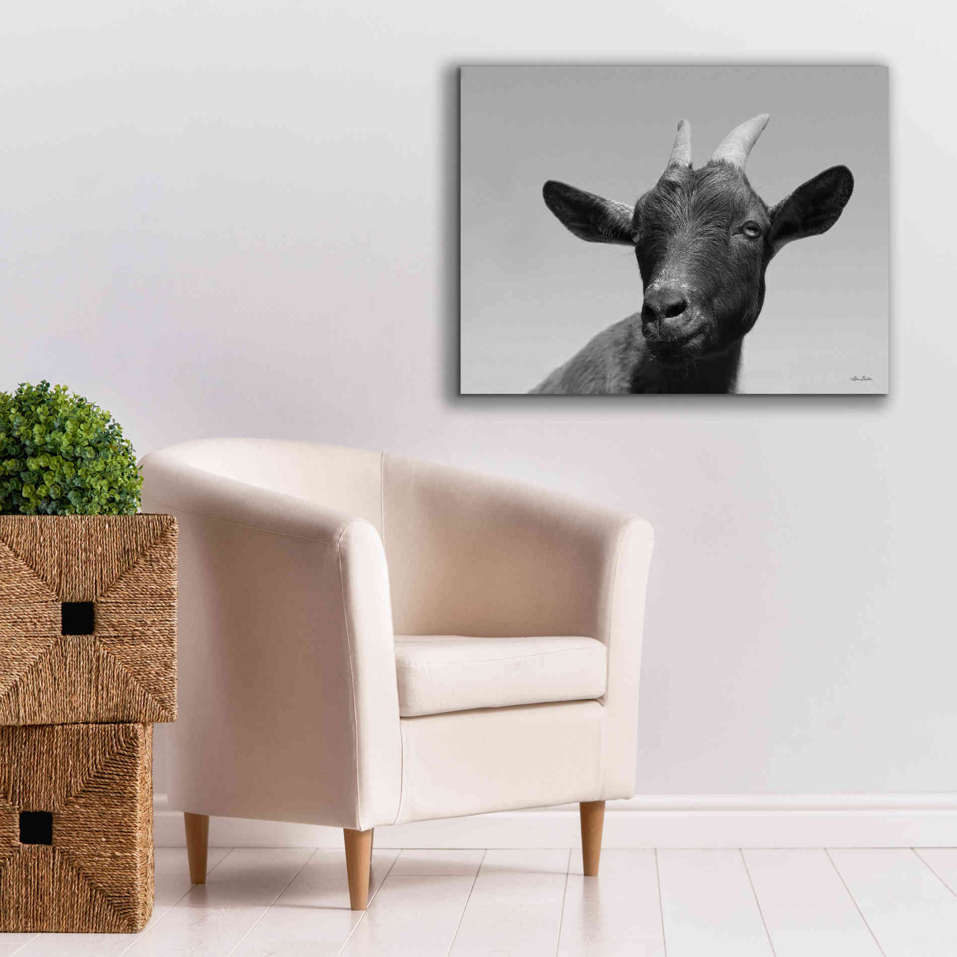 'Lake Tobias Goat I' by Lori Deiter, Canvas Wall Art,34 x 26