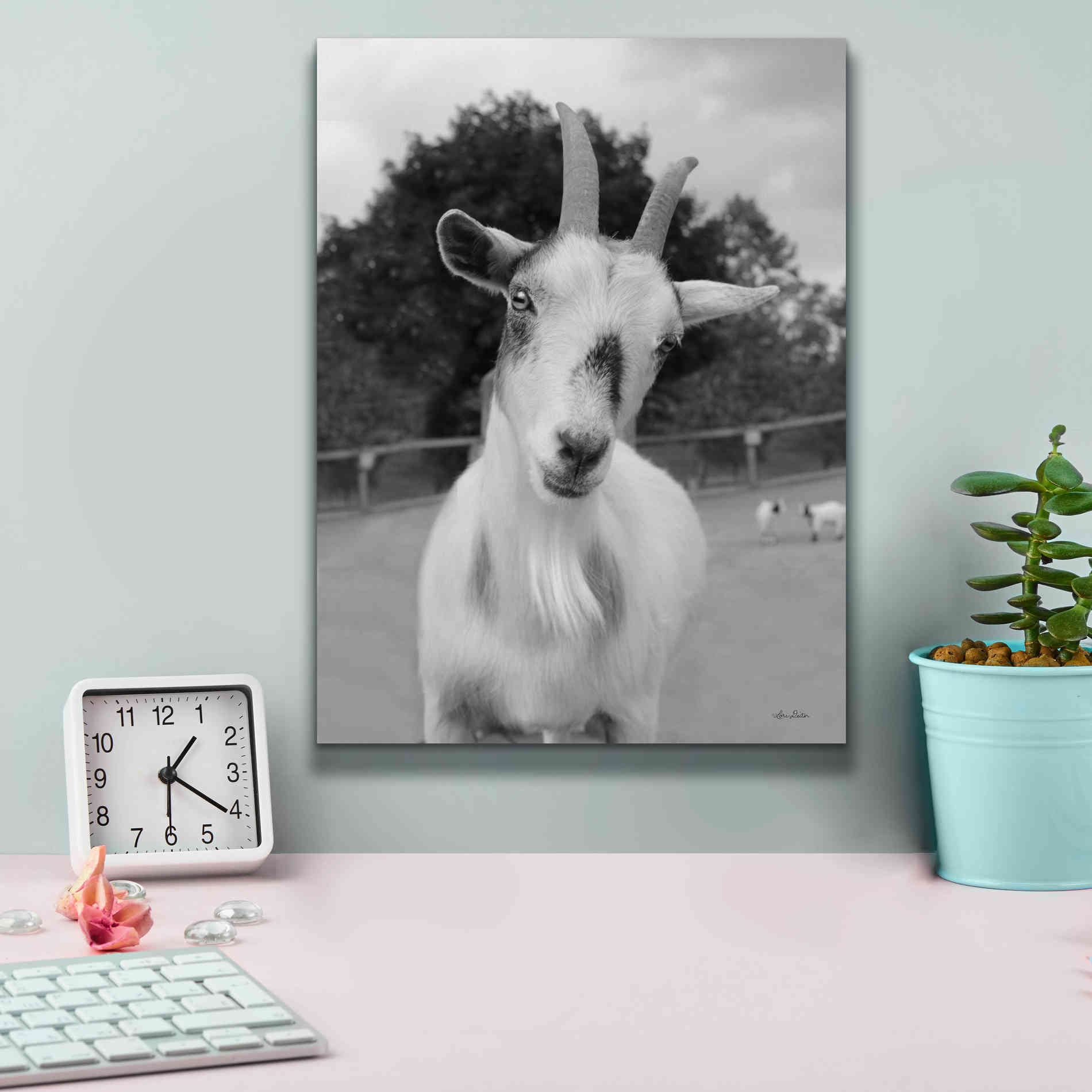 'Lake Tobias Goat II' by Lori Deiter, Canvas Wall Art,12 x 16