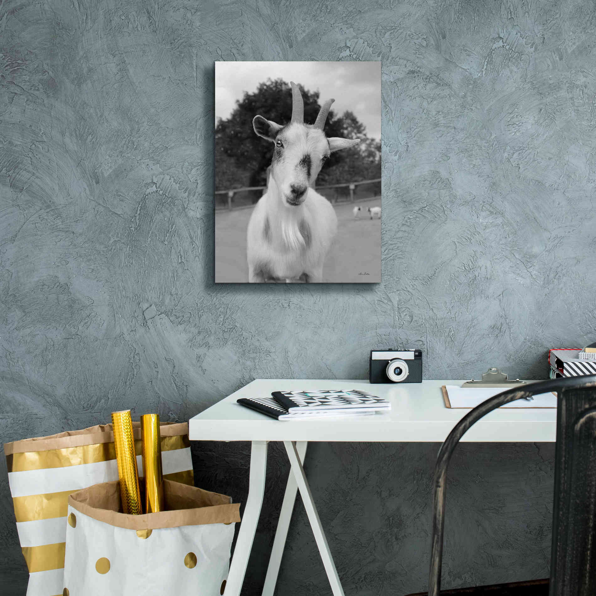 'Lake Tobias Goat II' by Lori Deiter, Canvas Wall Art,12 x 16