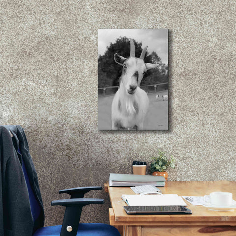 Image of 'Lake Tobias Goat II' by Lori Deiter, Canvas Wall Art,18 x 26