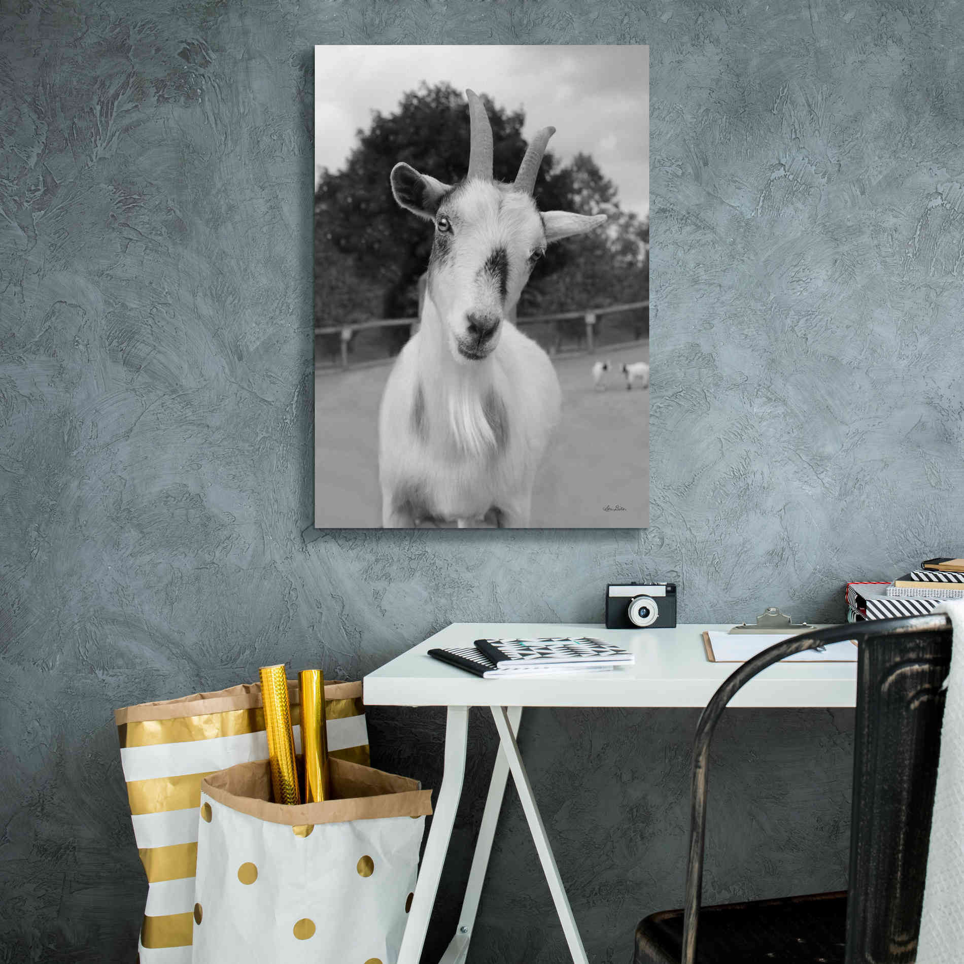 'Lake Tobias Goat II' by Lori Deiter, Canvas Wall Art,18 x 26