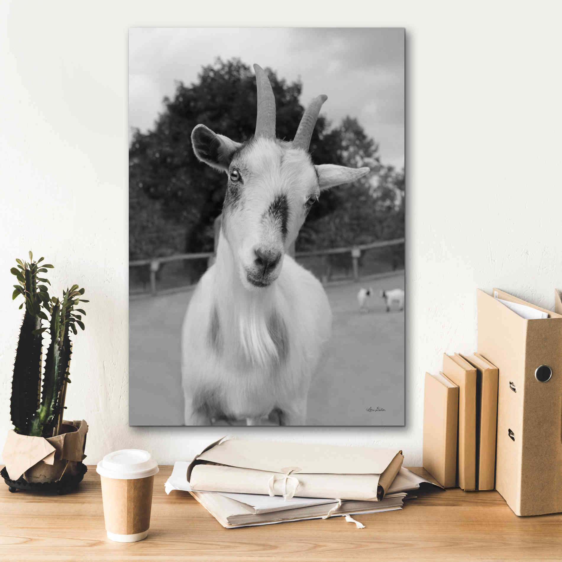 'Lake Tobias Goat II' by Lori Deiter, Canvas Wall Art,18 x 26