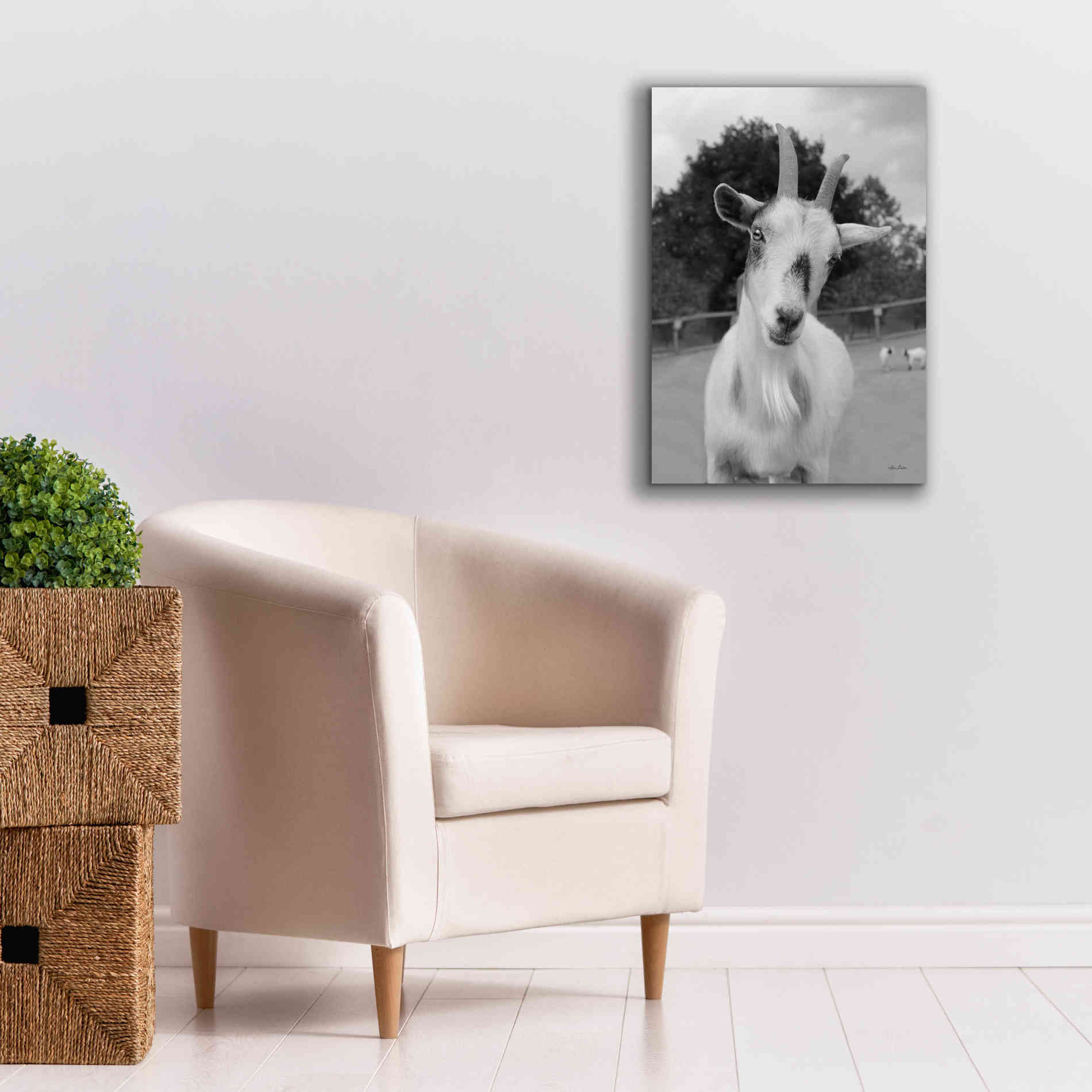 'Lake Tobias Goat II' by Lori Deiter, Canvas Wall Art,18 x 26