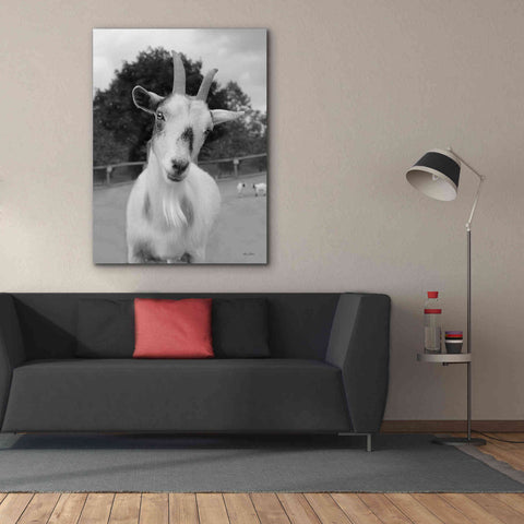 Image of 'Lake Tobias Goat II' by Lori Deiter, Canvas Wall Art,40 x 54