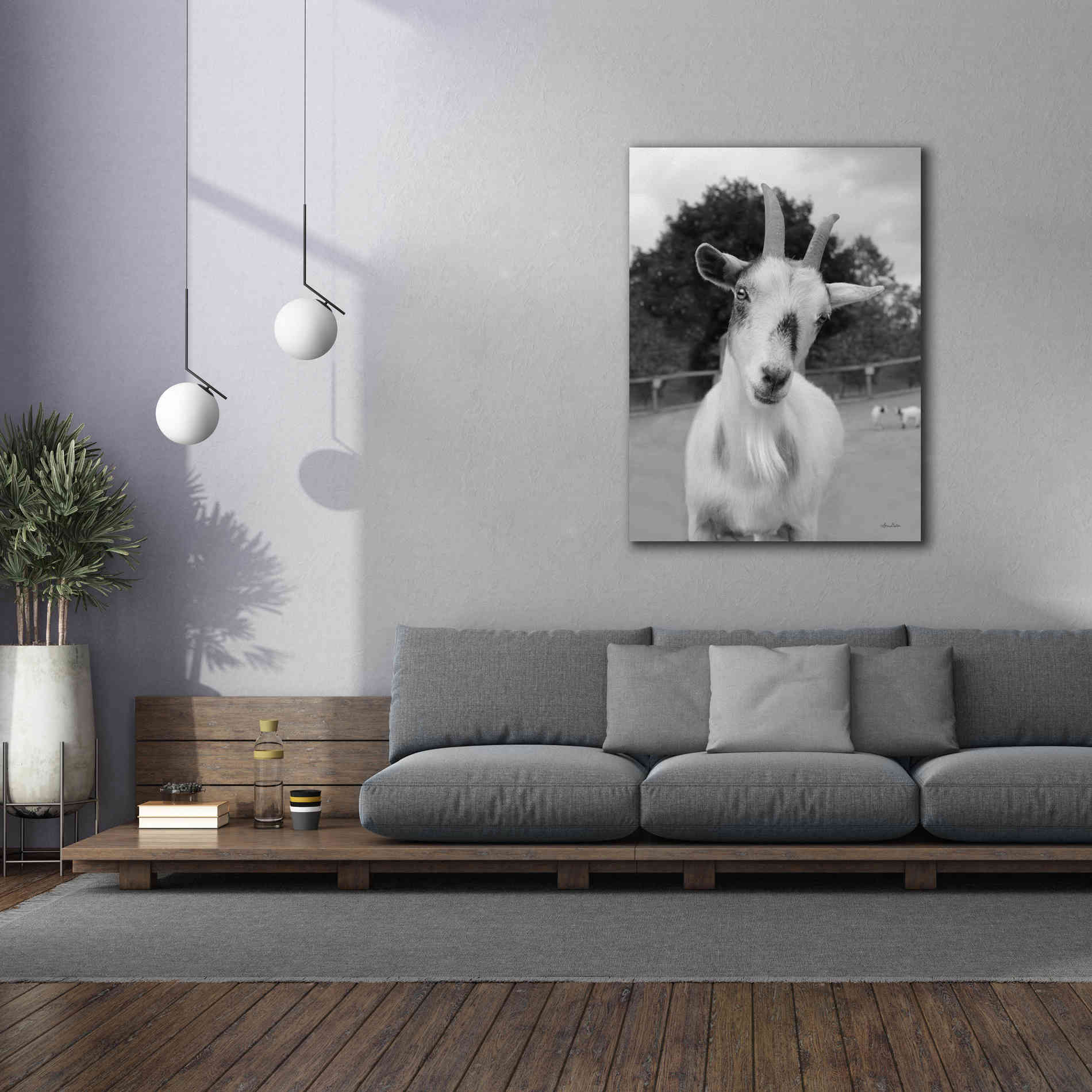 'Lake Tobias Goat II' by Lori Deiter, Canvas Wall Art,40 x 54