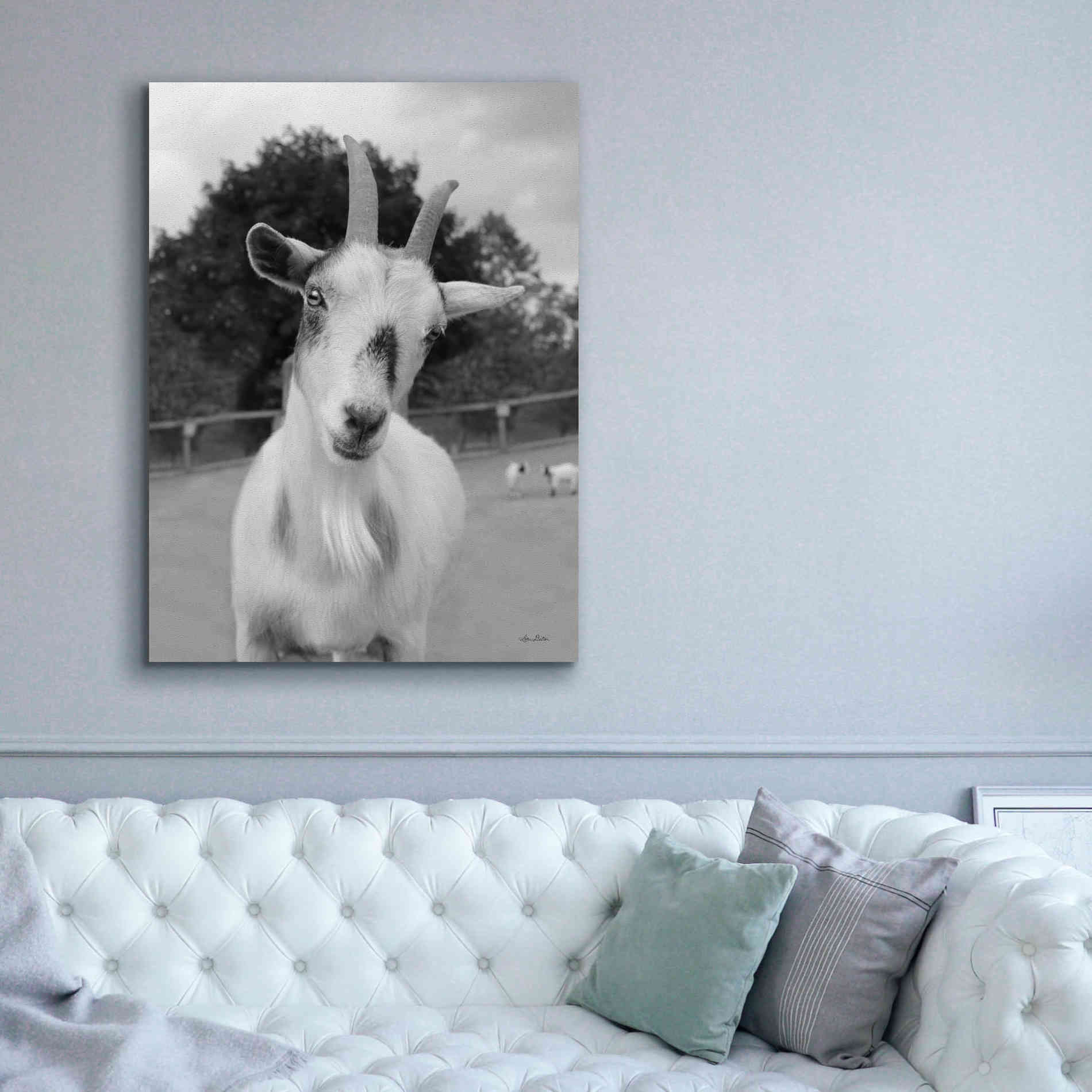 'Lake Tobias Goat II' by Lori Deiter, Canvas Wall Art,40 x 54