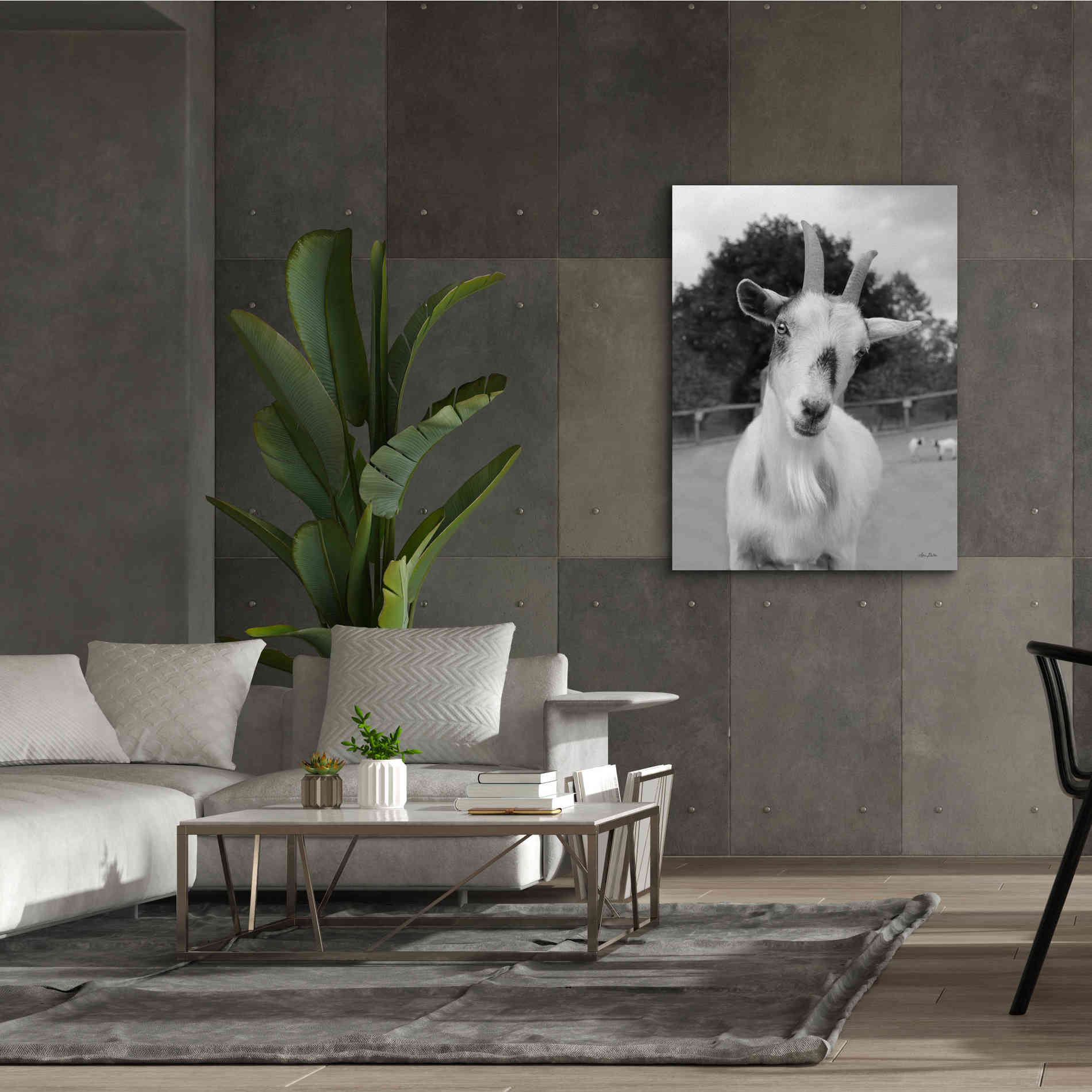 'Lake Tobias Goat II' by Lori Deiter, Canvas Wall Art,40 x 54