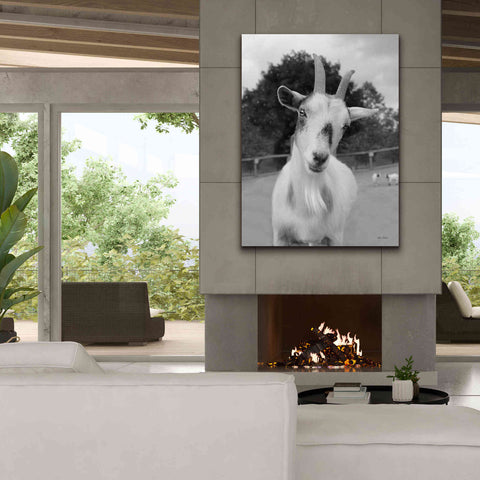 Image of 'Lake Tobias Goat II' by Lori Deiter, Canvas Wall Art,40 x 54
