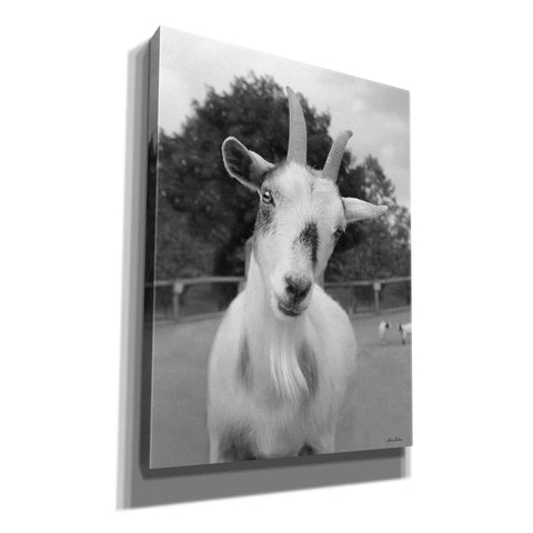 Image of 'Lake Tobias Goat II' by Lori Deiter, Canvas Wall Art