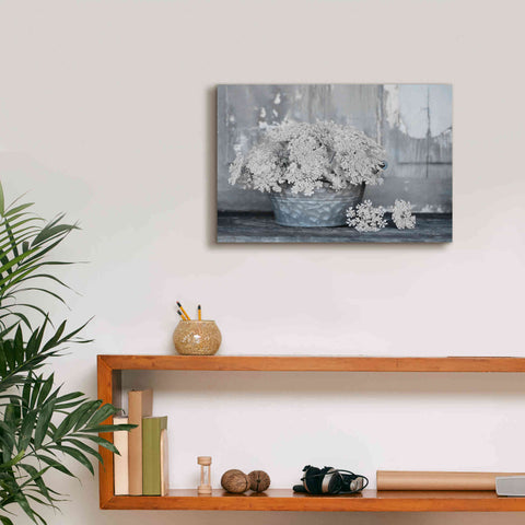 Image of 'Queen Anne's Lace I' by Lori Deiter, Canvas Wall Art,18 x 12