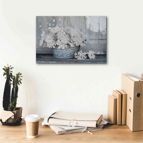 Image of 'Queen Anne's Lace I' by Lori Deiter, Canvas Wall Art,18 x 12