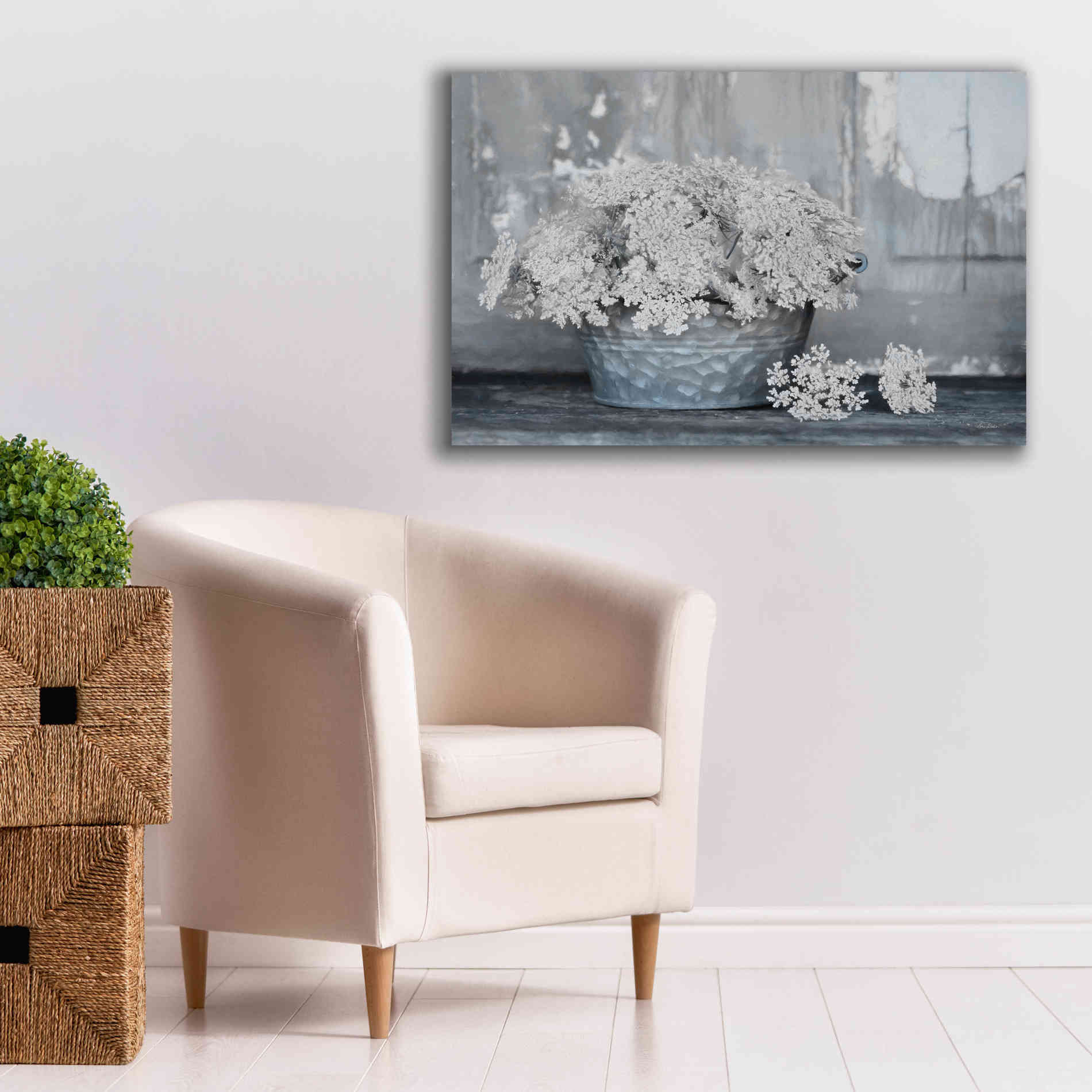 'Queen Anne's Lace I' by Lori Deiter, Canvas Wall Art,40 x 26