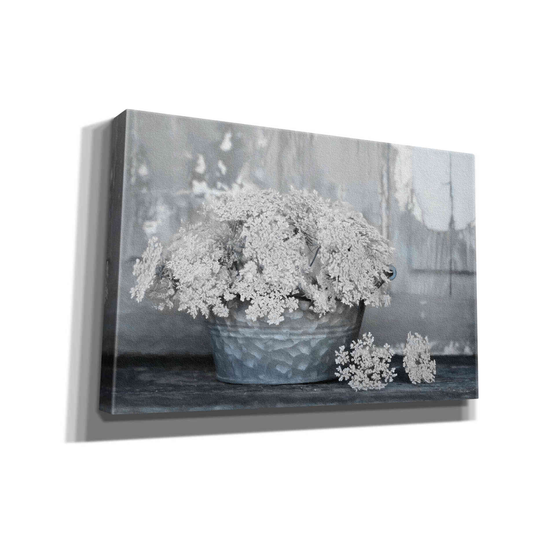 'Queen Anne's Lace I' by Lori Deiter, Canvas Wall Art