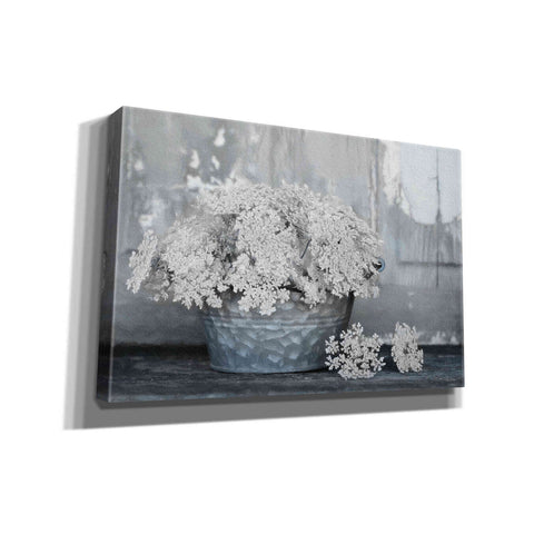 Image of 'Queen Anne's Lace I' by Lori Deiter, Canvas Wall Art