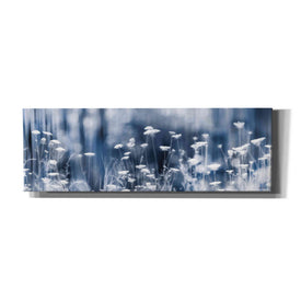 'Summer Dreams' by Lori Deiter, Canvas Wall Art