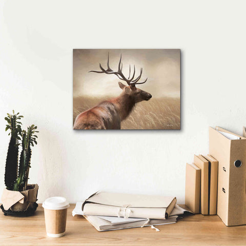 Image of 'Elk in the Grass' by Lori Deiter, Canvas Wall Art,16 x 12