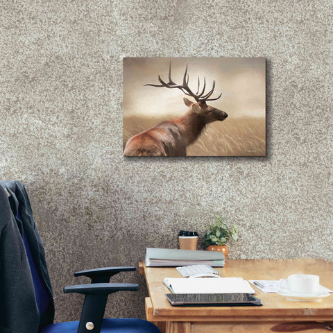 Image of 'Elk in the Grass' by Lori Deiter, Canvas Wall Art,26 x 18
