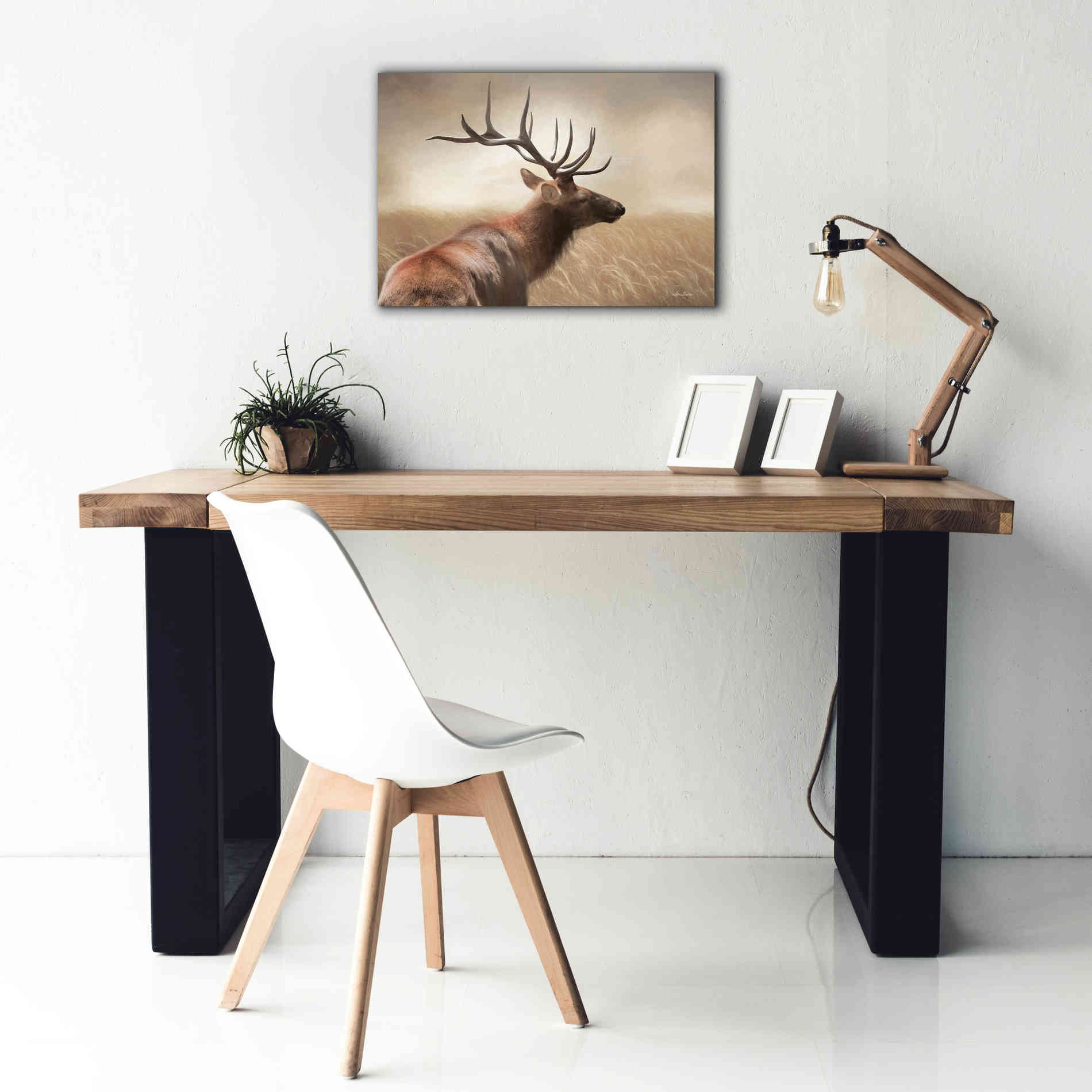 'Elk in the Grass' by Lori Deiter, Canvas Wall Art,26 x 18