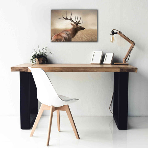 Image of 'Elk in the Grass' by Lori Deiter, Canvas Wall Art,26 x 18