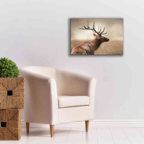 Image of 'Elk in the Grass' by Lori Deiter, Canvas Wall Art,26 x 18