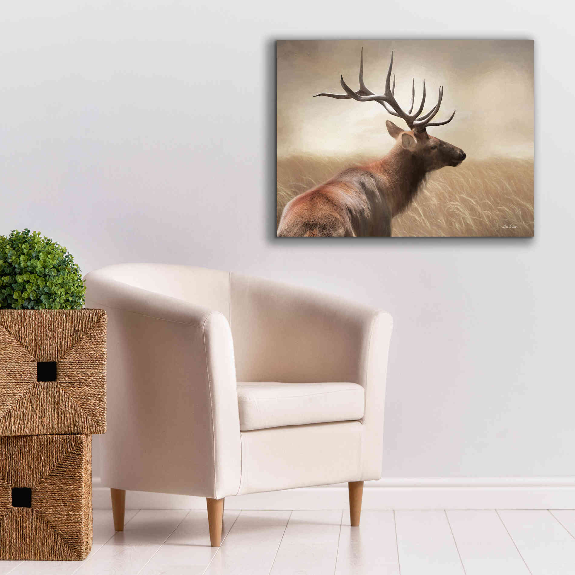 'Elk in the Grass' by Lori Deiter, Canvas Wall Art,34 x 26