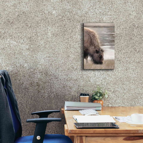 Image of 'Yellowstone Buffalo' by Lori Deiter, Canvas Wall Art,12 x 18