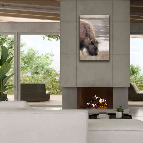 Image of 'Yellowstone Buffalo' by Lori Deiter, Canvas Wall Art,26 x 40