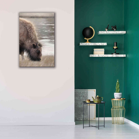 Image of 'Yellowstone Buffalo' by Lori Deiter, Canvas Wall Art,26 x 40