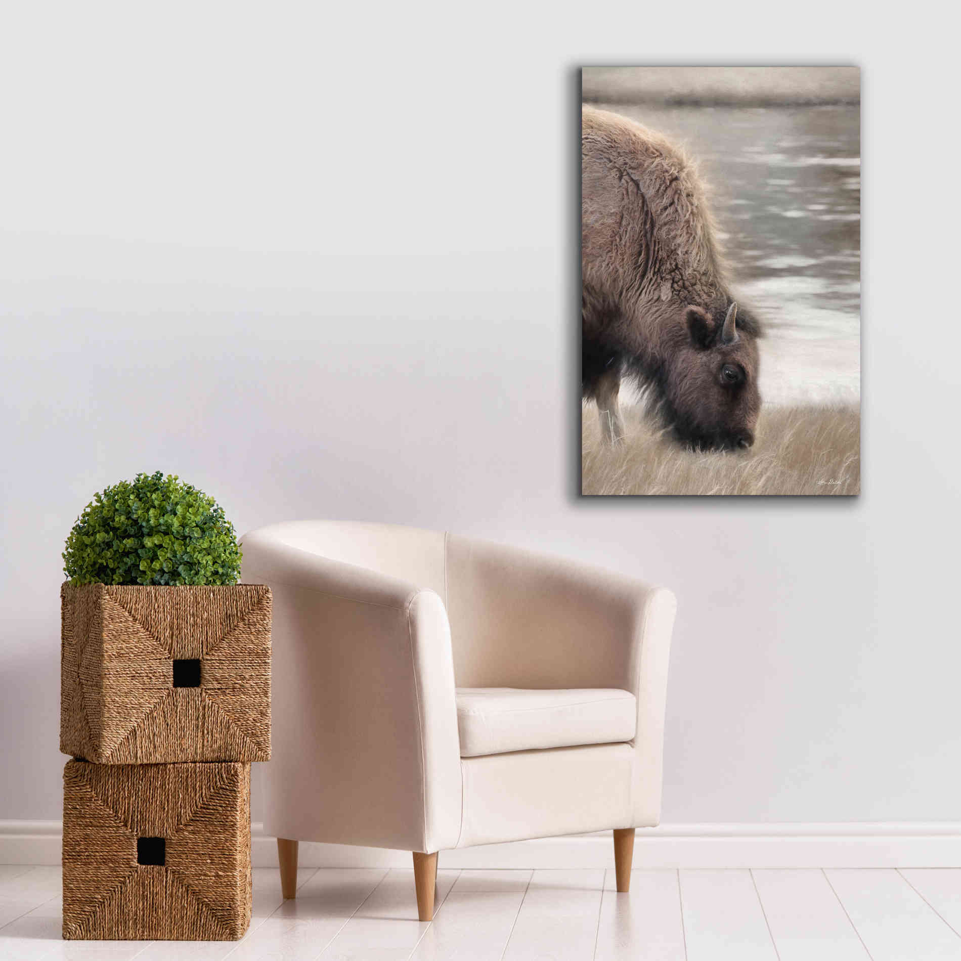 'Yellowstone Buffalo' by Lori Deiter, Canvas Wall Art,26 x 40