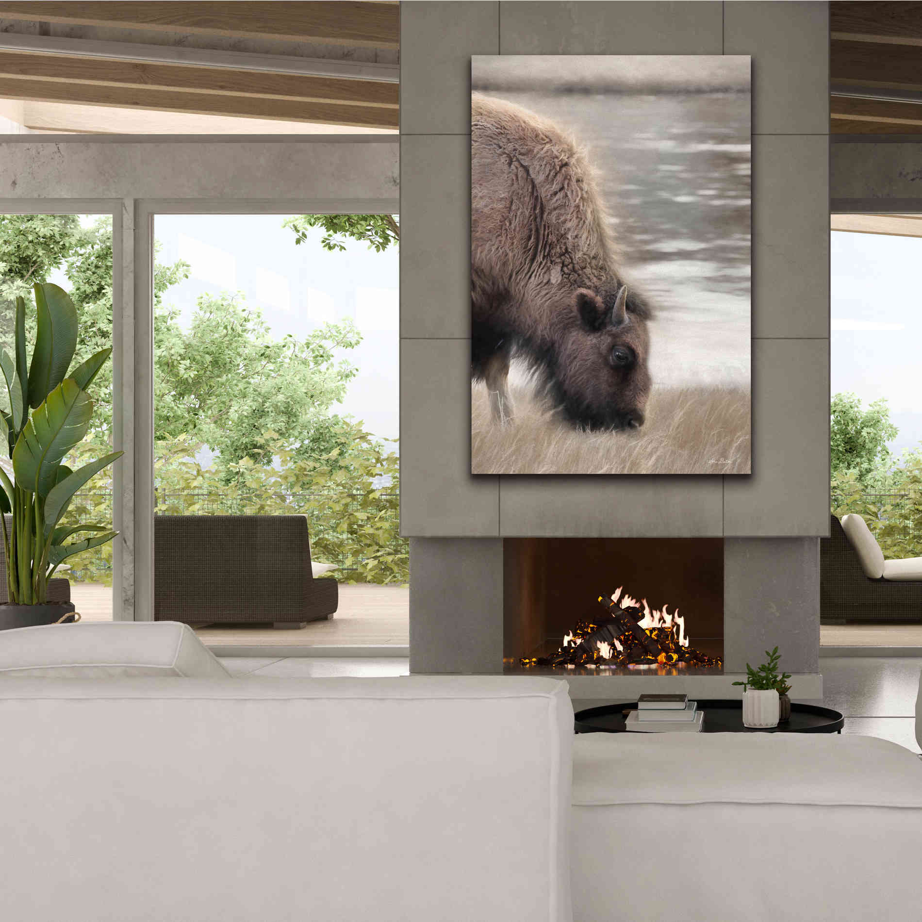 'Yellowstone Buffalo' by Lori Deiter, Canvas Wall Art,40 x 60