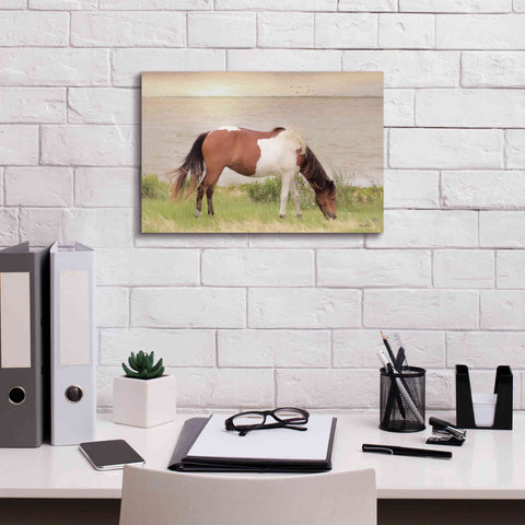 Image of 'Grazing on Assateague Island' by Lori Deiter, Canvas Wall Art,18 x 12