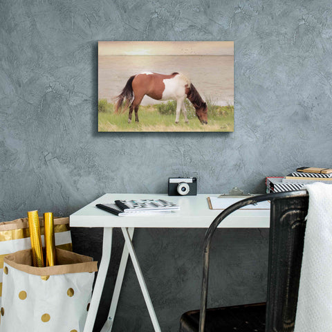 Image of 'Grazing on Assateague Island' by Lori Deiter, Canvas Wall Art,18 x 12