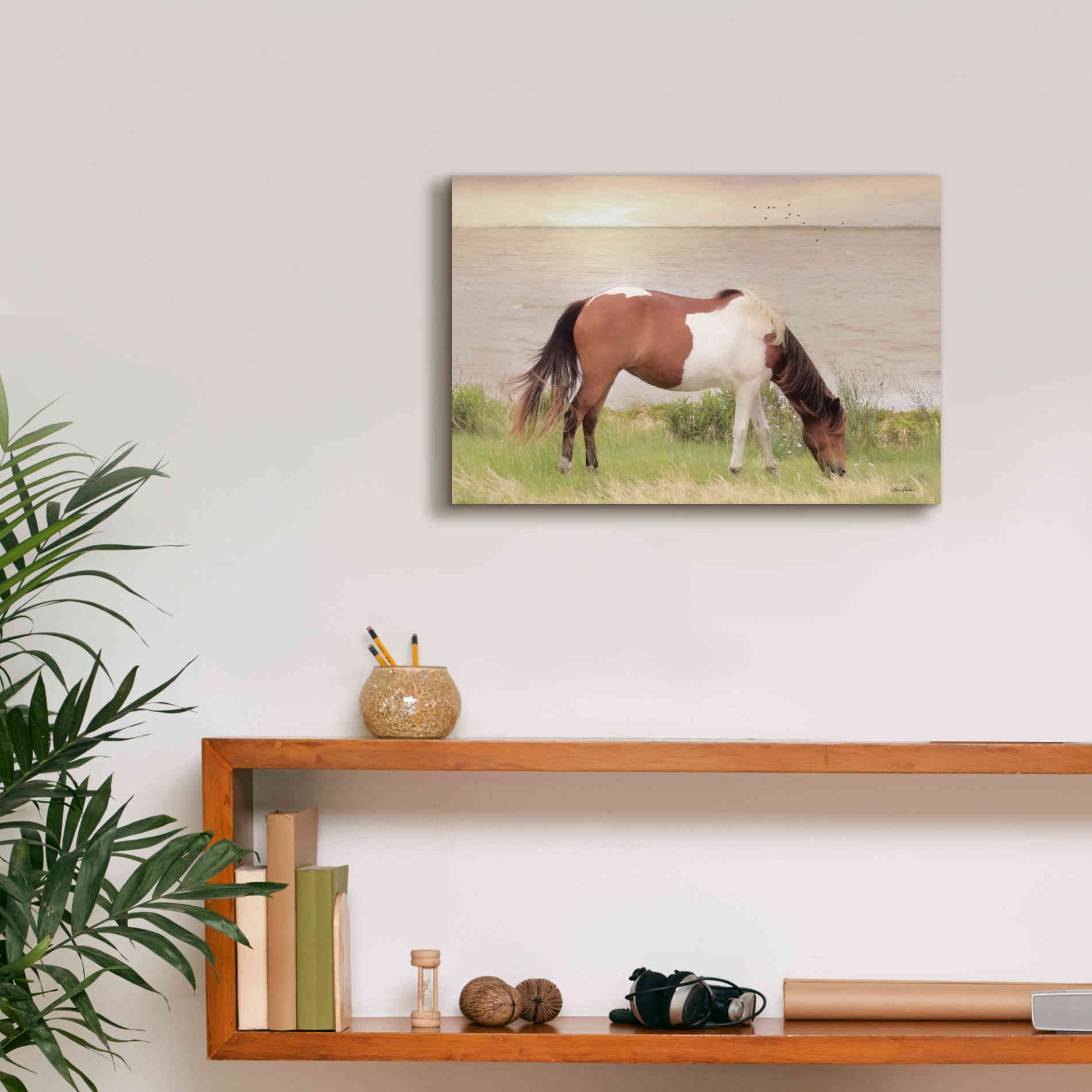 'Grazing on Assateague Island' by Lori Deiter, Canvas Wall Art,18 x 12