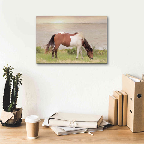 Image of 'Grazing on Assateague Island' by Lori Deiter, Canvas Wall Art,18 x 12