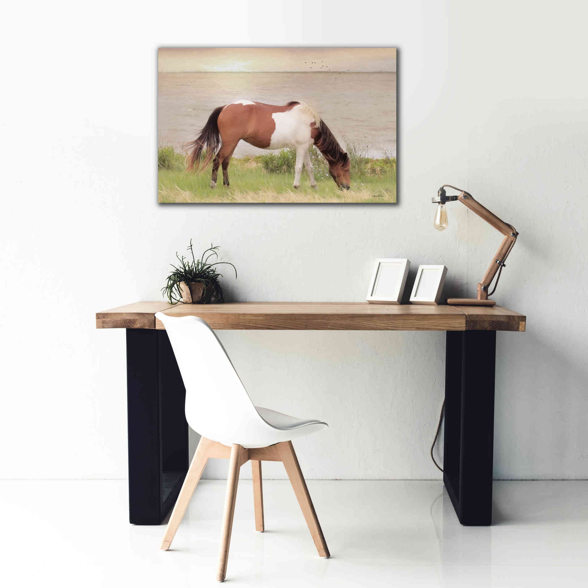 'Grazing on Assateague Island' by Lori Deiter, Canvas Wall Art,40 x 26