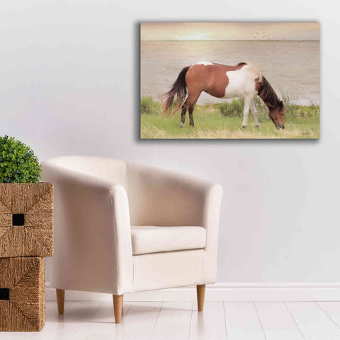 Image of 'Grazing on Assateague Island' by Lori Deiter, Canvas Wall Art,40 x 26