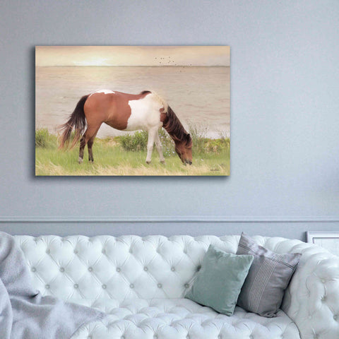 Image of 'Grazing on Assateague Island' by Lori Deiter, Canvas Wall Art,60 x 40