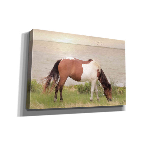 Image of 'Grazing on Assateague Island' by Lori Deiter, Canvas Wall Art