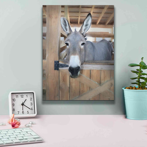 Image of 'Curious Donkey' by Lori Deiter, Canvas Wall Art,12 x 16
