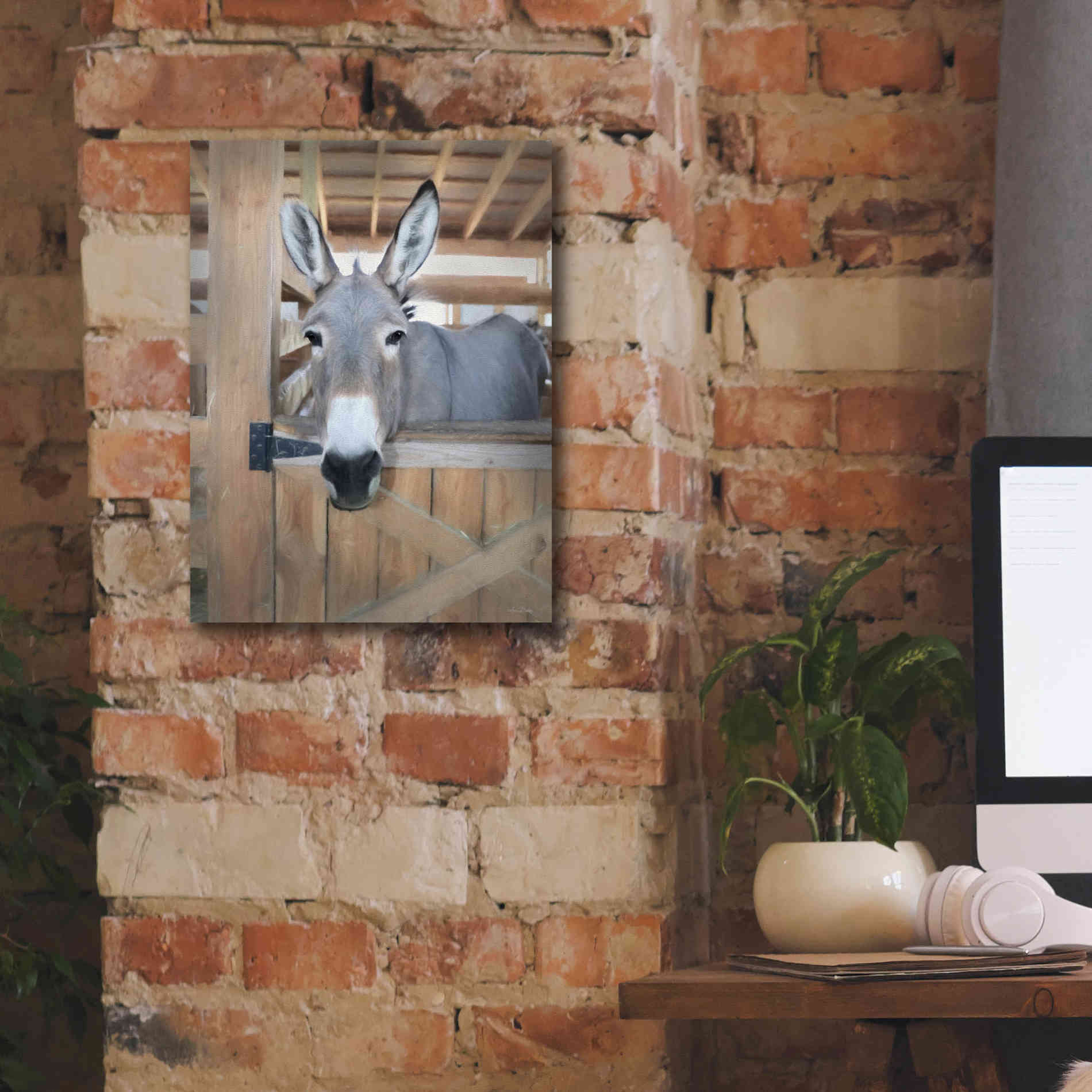 'Curious Donkey' by Lori Deiter, Canvas Wall Art,12 x 16