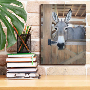 'Curious Donkey' by Lori Deiter, Canvas Wall Art,12 x 16
