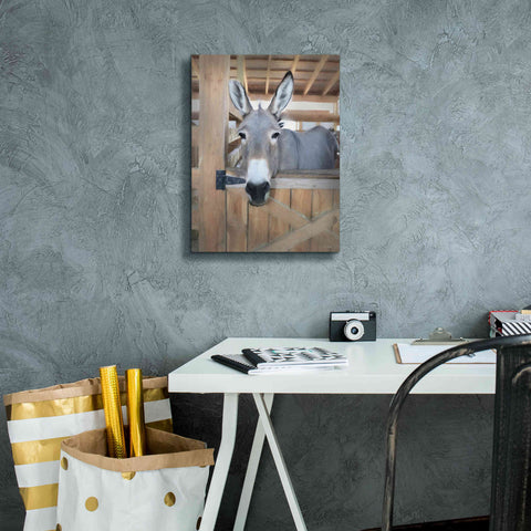 Image of 'Curious Donkey' by Lori Deiter, Canvas Wall Art,12 x 16