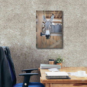 'Curious Donkey' by Lori Deiter, Canvas Wall Art,18 x 26