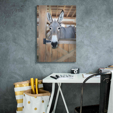 Image of 'Curious Donkey' by Lori Deiter, Canvas Wall Art,18 x 26
